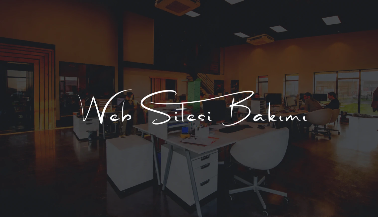 Web Sitesi Bakımı