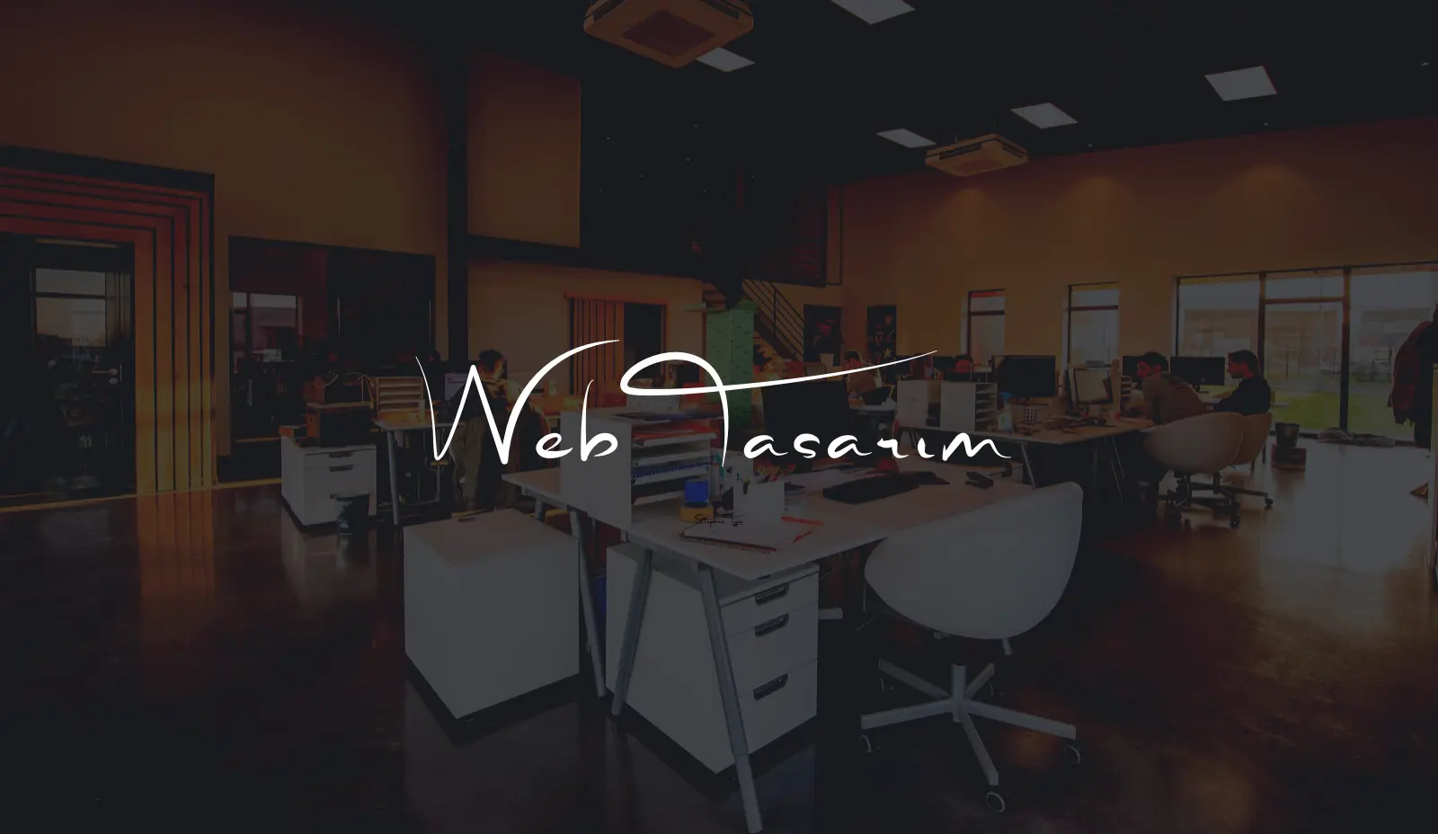 Web Tasarım