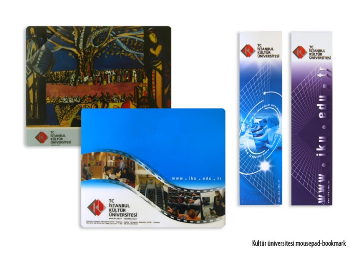 Kültür Üniversitesi